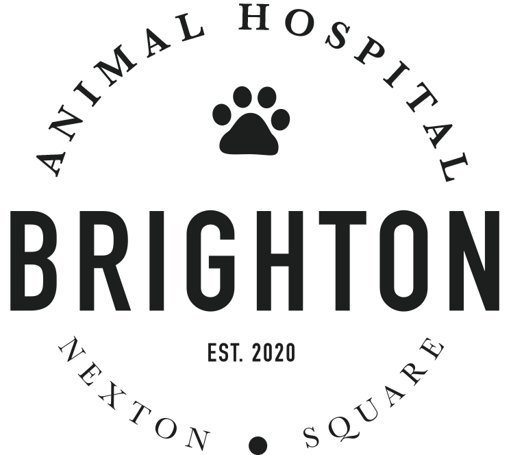 Brighton Vets Logo